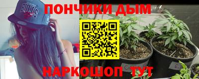наркотики Новозыбков