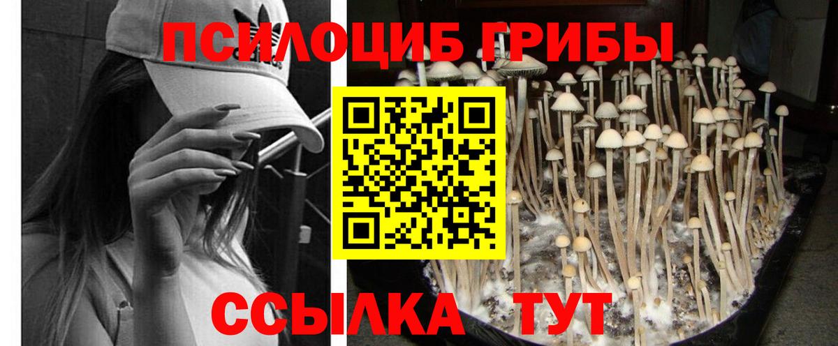 Советская Гавань  Галлюциногенные грибы GOLDEN TEACHER  Вход с VPN 